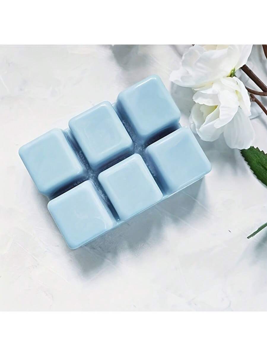 Plateau de moule rectangulaire - Soap Making Websites avis et prix